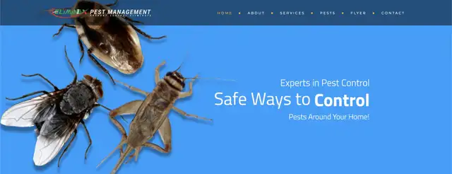 AFFORDABLE 24/7 PEST CONTROL! ELIMINEX PEST MANAGEMENT - Photo 4