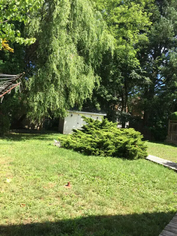 BRIGHT Upper Room for Rent Near McMaster Campus ($900 ALL INCL) - Photo 4