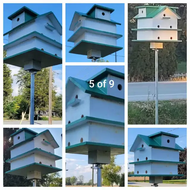 HEY Y'ALL! IT'S NEARLY PURPLE MARTIN TIME!