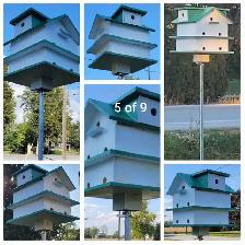 HEY Y'ALL! IT'S NEARLY PURPLE MARTIN TIME!