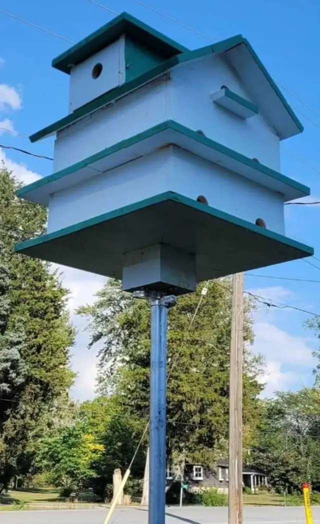 HEY Y'ALL! IT'S NEARLY PURPLE MARTIN TIME! - Photo 2