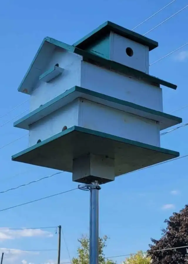 HEY Y'ALL! IT'S NEARLY PURPLE MARTIN TIME! - Photo 4