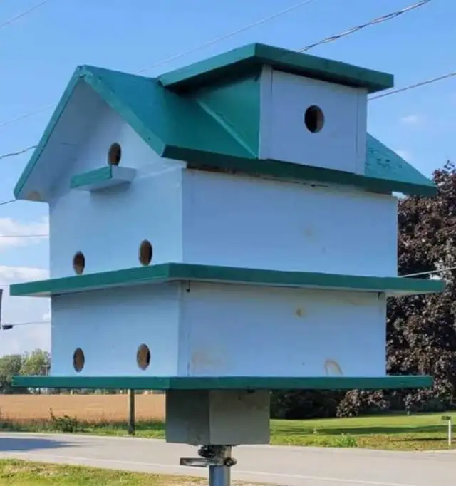 HEY Y'ALL! IT'S NEARLY PURPLE MARTIN TIME! - Photo 5