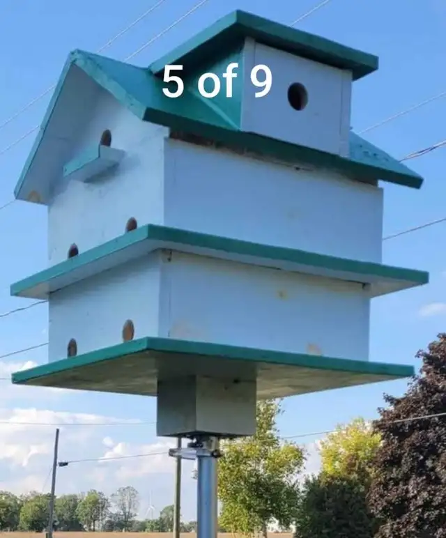 HEY Y'ALL! IT'S NEARLY PURPLE MARTIN TIME! - Photo 6