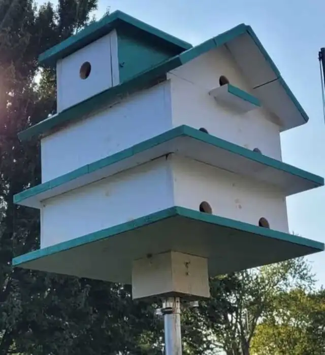 HEY Y'ALL! IT'S NEARLY PURPLE MARTIN TIME! - Photo 7