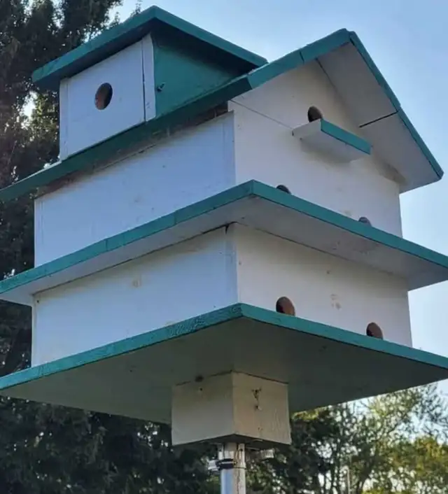 HEY Y'ALL! IT'S NEARLY PURPLE MARTIN TIME! - Photo 8