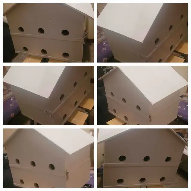 HEY Y'ALL! IT'S NEARLY PURPLE MARTIN TIME!