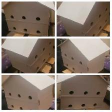 HEY Y'ALL! IT'S NEARLY PURPLE MARTIN TIME!