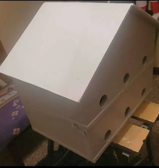 HEY Y'ALL! IT'S NEARLY PURPLE MARTIN TIME! - Photo 2