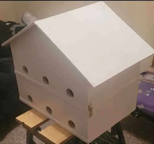 HEY Y'ALL! IT'S NEARLY PURPLE MARTIN TIME! - Photo 3