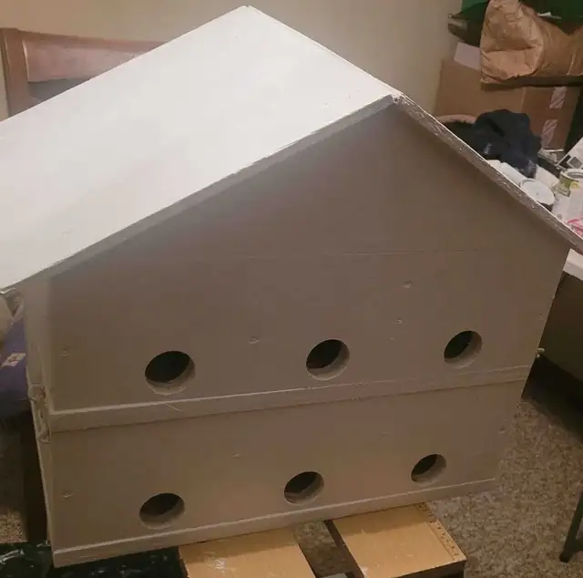 HEY Y'ALL! IT'S NEARLY PURPLE MARTIN TIME! - Photo 4