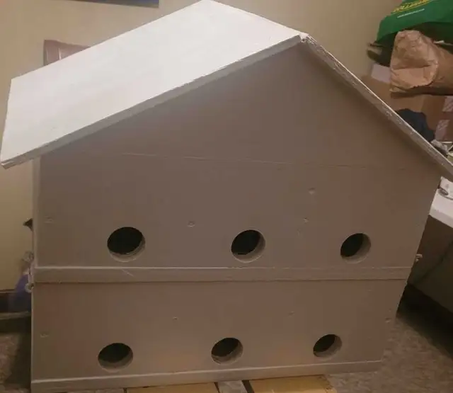 HEY Y'ALL! IT'S NEARLY PURPLE MARTIN TIME! - Photo 5