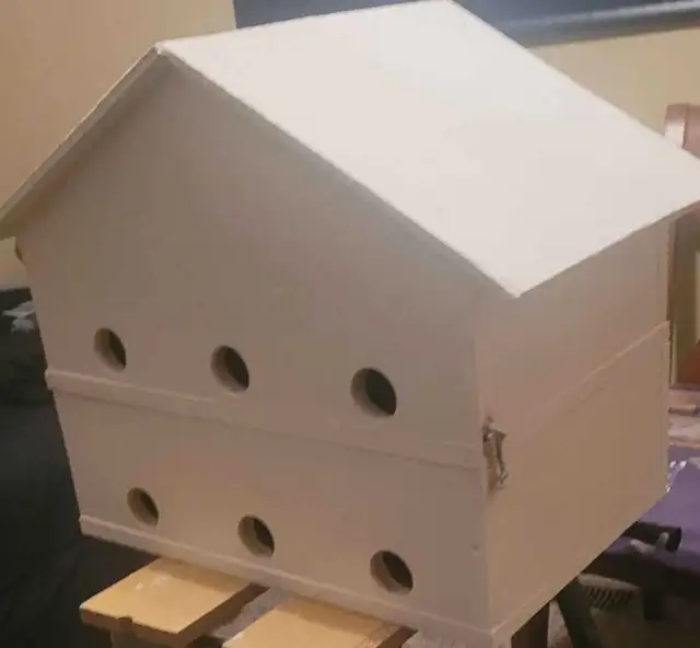 HEY Y'ALL! IT'S NEARLY PURPLE MARTIN TIME! - Photo 6