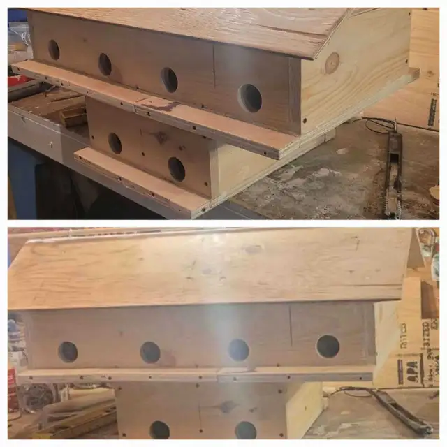 HEY Y'ALL! IT'S NEARLY PURPLE MARTIN TIME!