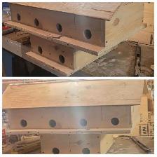 HEY Y'ALL! IT'S NEARLY PURPLE MARTIN TIME!