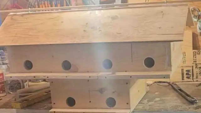 HEY Y'ALL! IT'S NEARLY PURPLE MARTIN TIME! - Photo 2