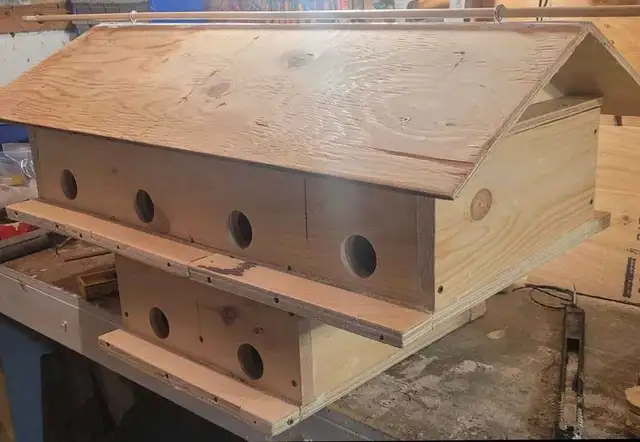 HEY Y'ALL! IT'S NEARLY PURPLE MARTIN TIME! - Photo 3