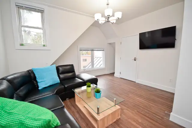 uOTTAWA 3min walk, Student, FAST Internet, Laundry,Available NOW - Photo 8