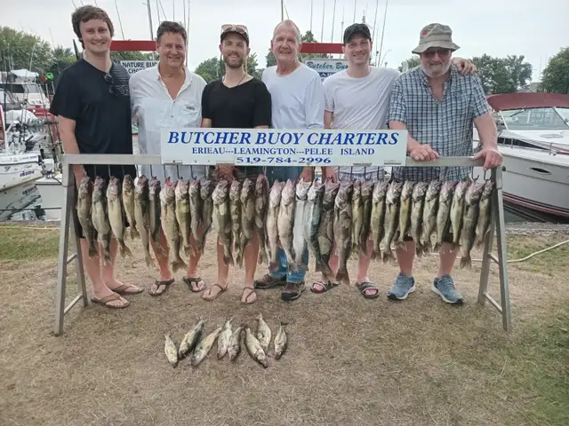 LAKE ERIE FISHING CHARTERS - Photo 5