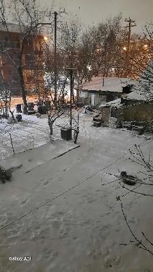 do you need help with that snow?