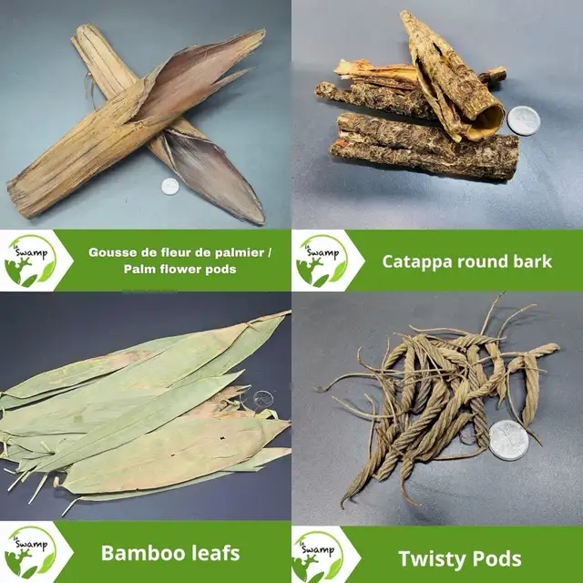 LA SWAMP — GOUSSES, PODS, LEAF LITTER - Photo 3