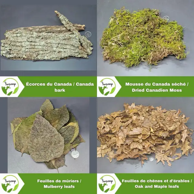 LA SWAMP — GOUSSES, PODS, LEAF LITTER - Photo 4