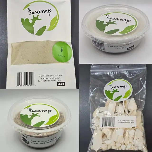 LA SWAMP — GOUSSES, PODS, LEAF LITTER - Photo 6