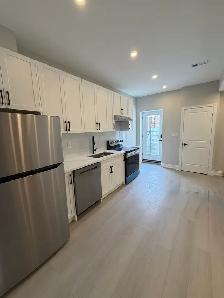 Brand new luxury basement unit (45mins downtown)