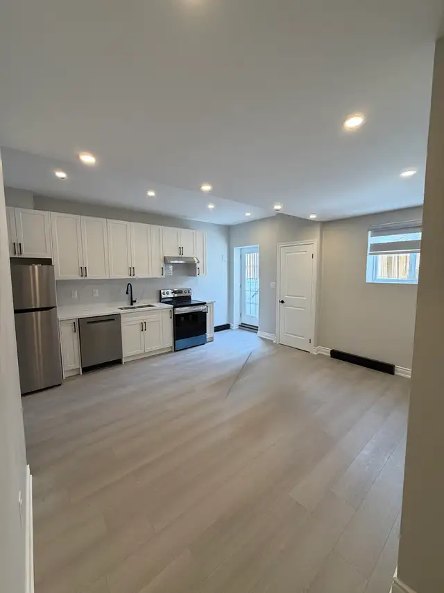Brand new luxury basement unit (45mins downtown) - Photo 2