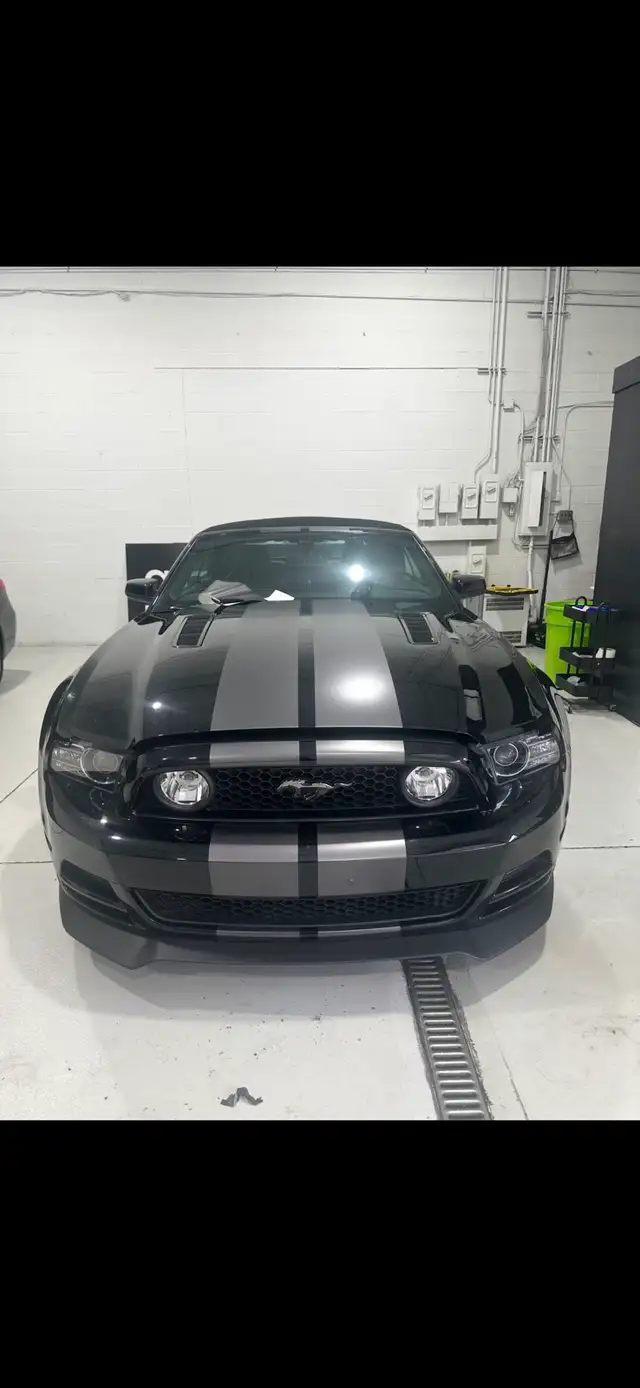 mobile car wraps in GTA - Photo 2