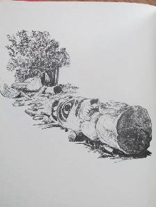 MY HEART SOARS by Chief Dan George - 1974 HC - Photo 8