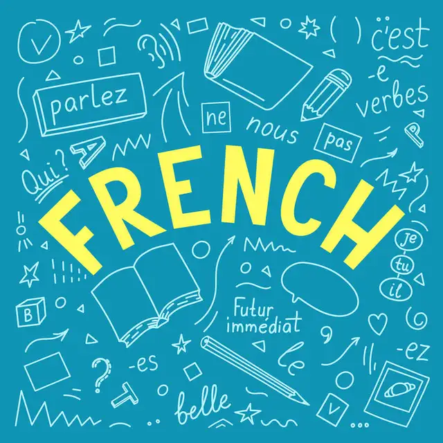 Experienced French Tutor –Beginners to Advanced | Flexible Times