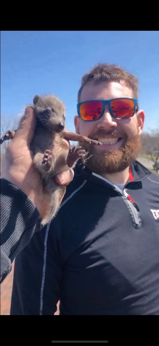 Brothers Wildlife Removal-  Affordable, Fast and Reliable - Photo 2