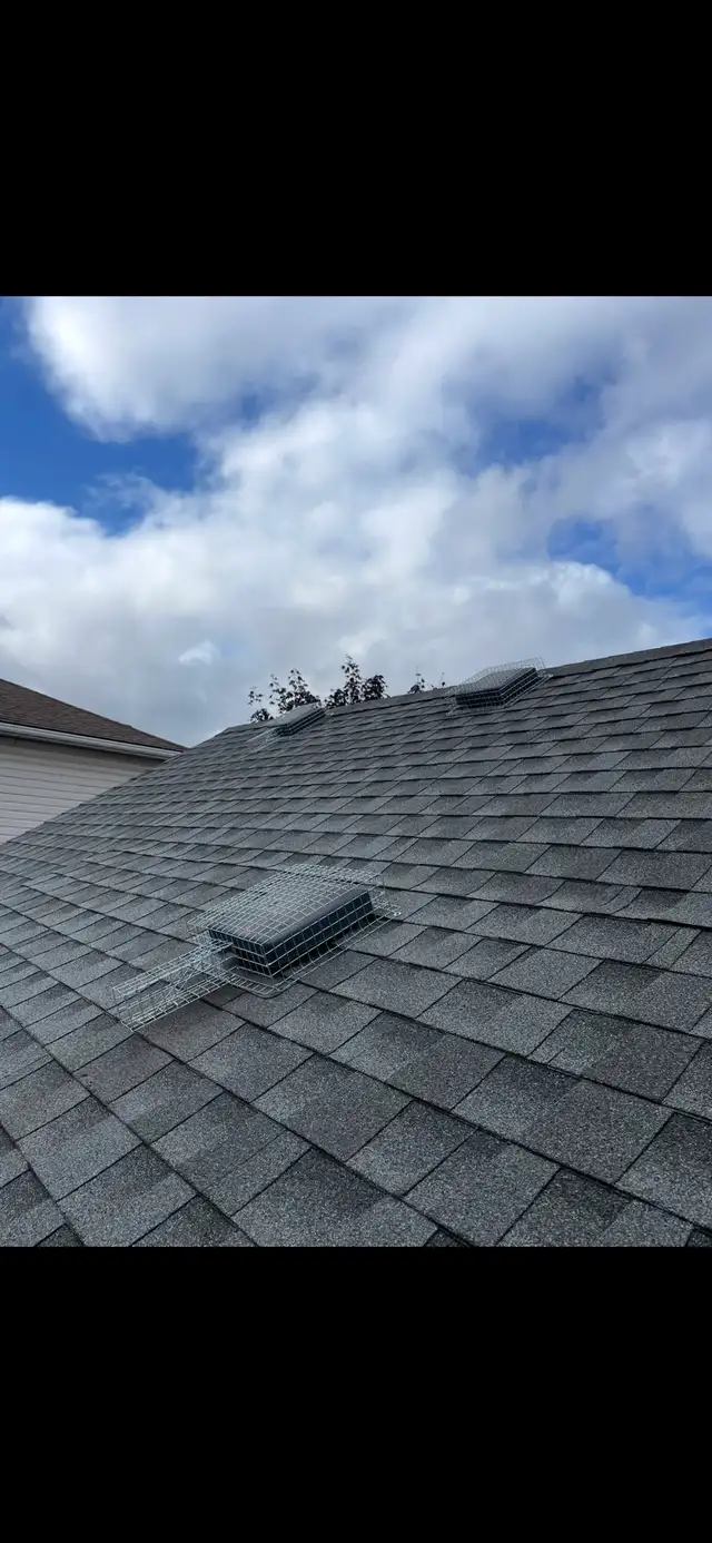 Brothers Wildlife Removal-  Affordable, Fast and Reliable - Photo 8