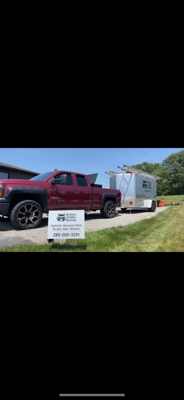 Brothers Wildlife Removal-  Affordable, Fast and Reliable - Photo 9