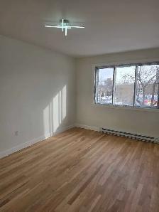 5 1/2 chaleureux et lumineux metro fabre pres de tous - Photo 4