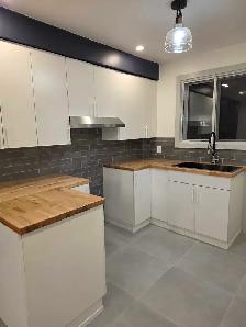 5 1/2 chaleureux et lumineux metro fabre pres de tous - Photo 8