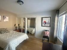 Belle chambre à louer