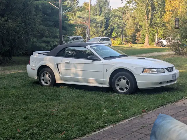 MUSTANG CONVERTIBLE