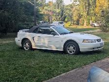 MUSTANG CONVERTIBLE