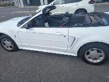 MUSTANG CONVERTIBLE - Photo 2
