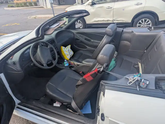 MUSTANG CONVERTIBLE - Photo 3