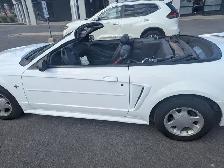 MUSTANG CONVERTIBLE - Photo 4