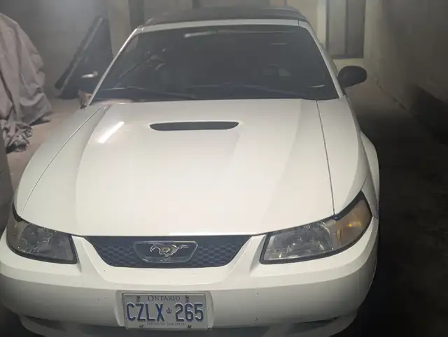 MUSTANG CONVERTIBLE - Photo 5