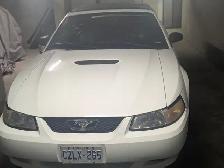 MUSTANG CONVERTIBLE - Photo 5