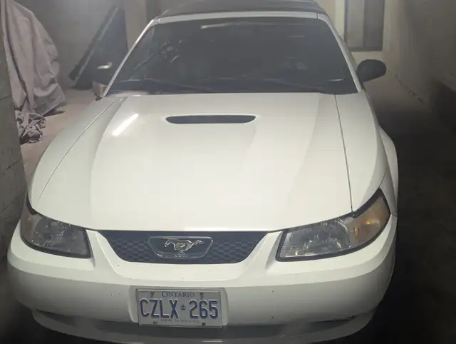 MUSTANG CONVERTIBLE - Photo 6