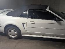 MUSTANG CONVERTIBLE - Photo 7