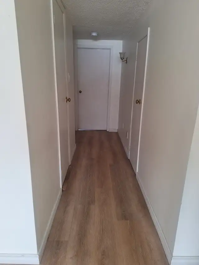Basement for Rent from March 1 or February 2026 Scarborough,ON