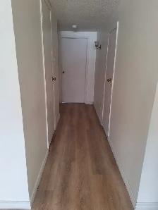 Basement for Rent from March 1 or February 2026 Scarborough,ON