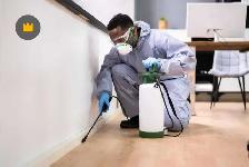 extermination souris, Fourmis, punaises, blattes 514-561-8933 - Photo 2